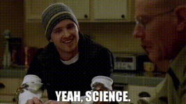 ec23ce95-62e1-451f-944f-c20f9350a31e_text.gif